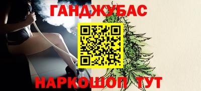 гашик Ливны
